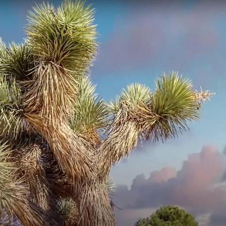 Three Tree Villa W/ Ev Charging Yucca Valley Dış mekan fotoğraf